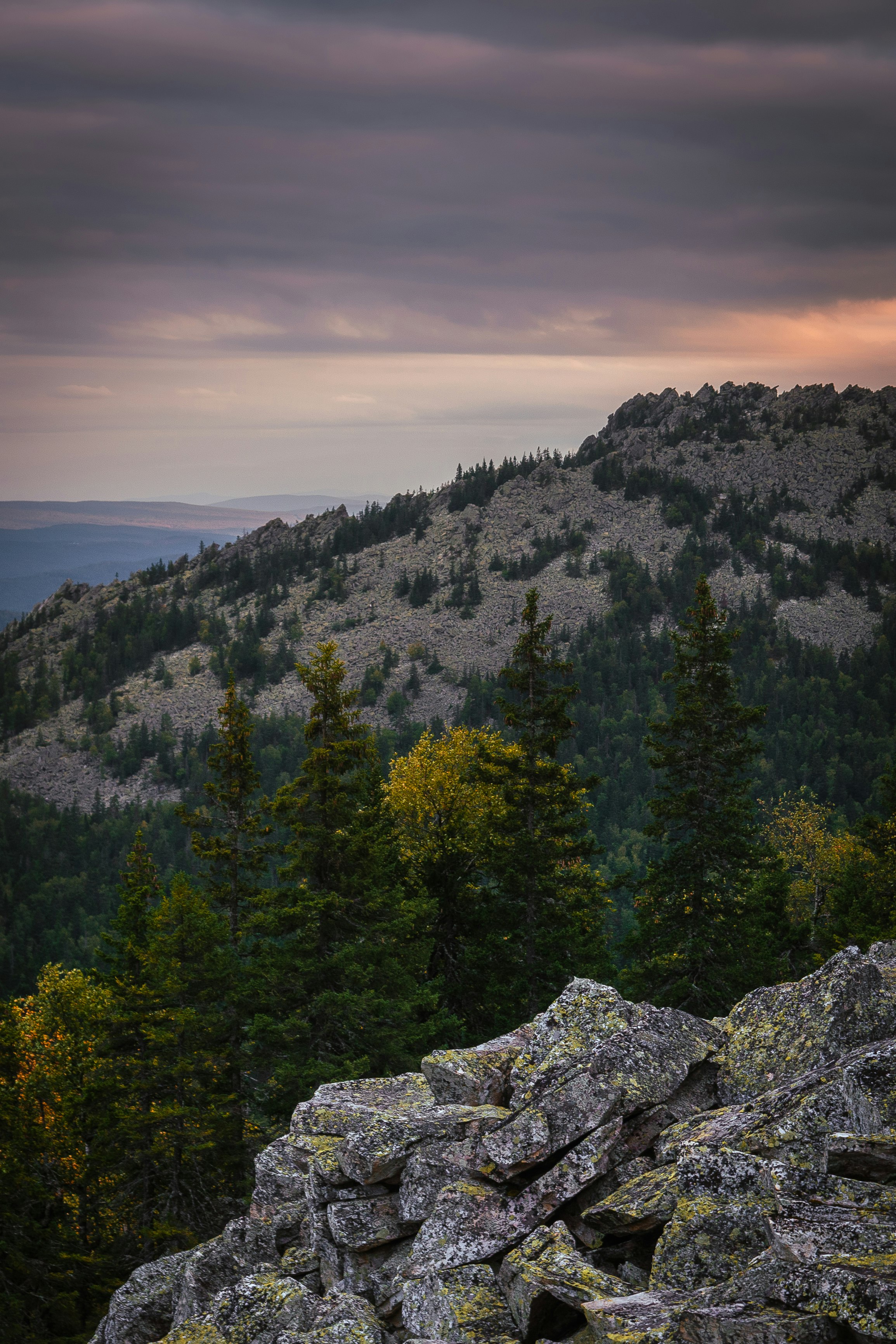 green pine trees on rocky mountain during daytime